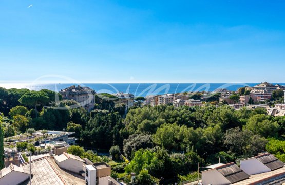 Se vende Plano Ciudad Genova Genova